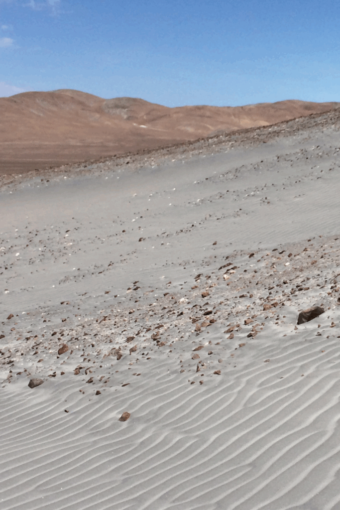 SandRippleCrop 210215 1 683x1024