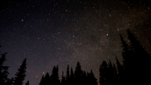 starstrees 210215