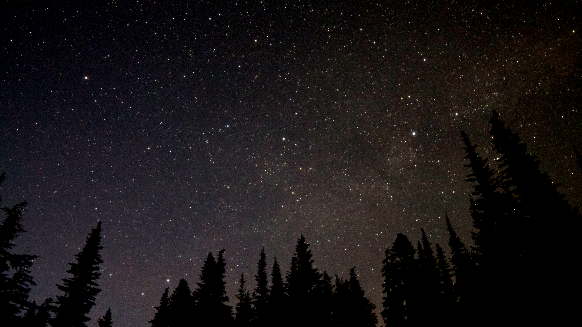 starstrees 210215